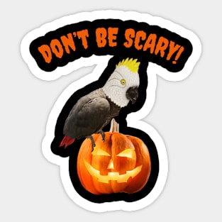 Einstein Parrot / Don't Be Scary Sticker